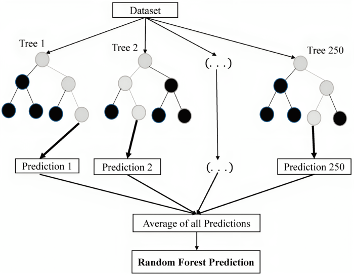 Рисунок 1. Информационный граф случайного леса.